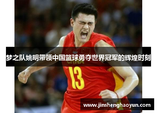 梦之队姚明带领中国篮球勇夺世界冠军的辉煌时刻