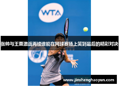 张帅与王蔷激战再续谁能在网球赛场上笑到最后的精彩对决